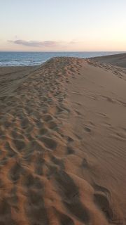 GC-Dunas de Maspalomas sunset 2026-150.jpg